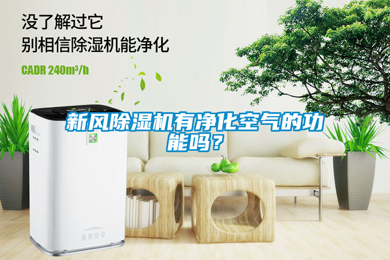 新風除濕機有凈化空氣的功能嗎？