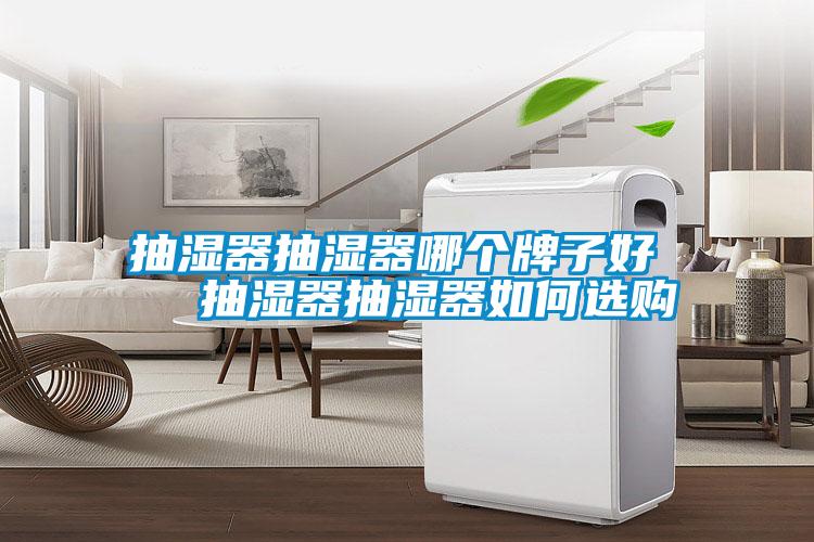 抽濕器抽濕器哪個(gè)牌子好   抽濕器抽濕器如何選購(gòu)