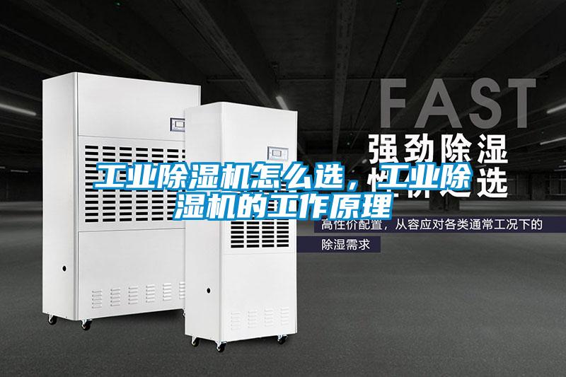 工業除濕機怎么選，工業除濕機的工作原理