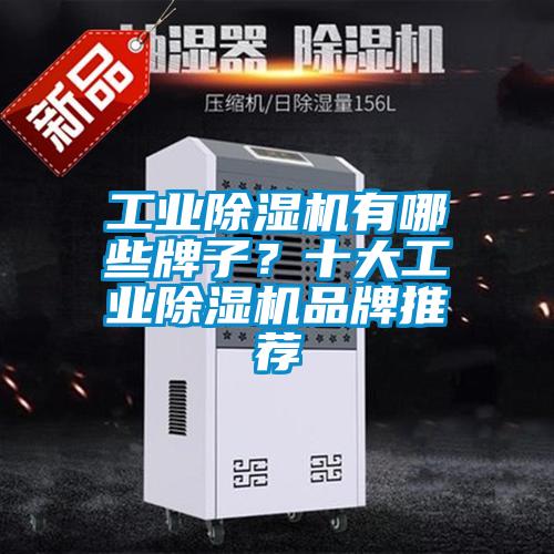 工業(yè)除濕機(jī)有哪些牌子？十大工業(yè)除濕機(jī)品牌推薦