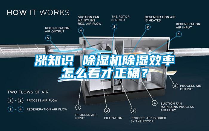 漲知識 除濕機除濕效率怎么看才正確？