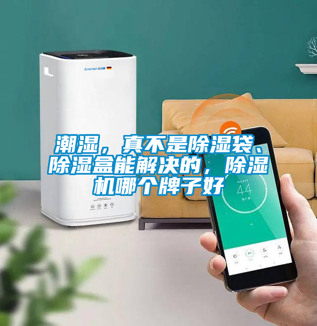 潮濕，真不是除濕袋、除濕盒能解決的，除濕機哪個牌子好
