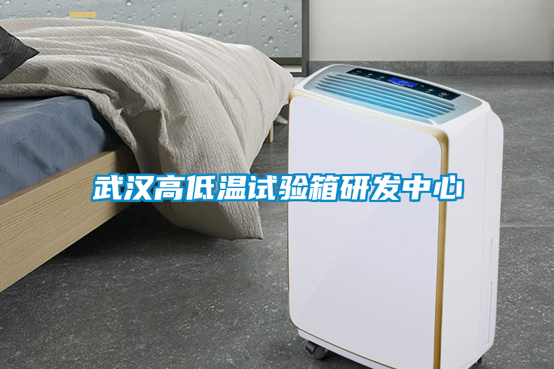武漢高低溫試驗箱研發(fā)中心
