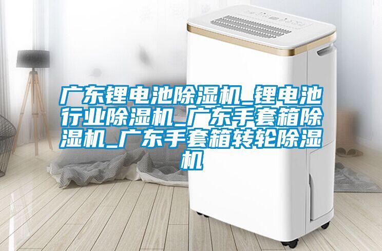 廣東鋰電池除濕機_鋰電池行業除濕機_廣東手套箱除濕機_廣東手套箱轉輪除濕機