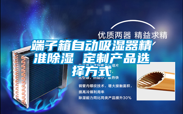 端子箱自動吸濕器精準除濕 定制產品選擇方式