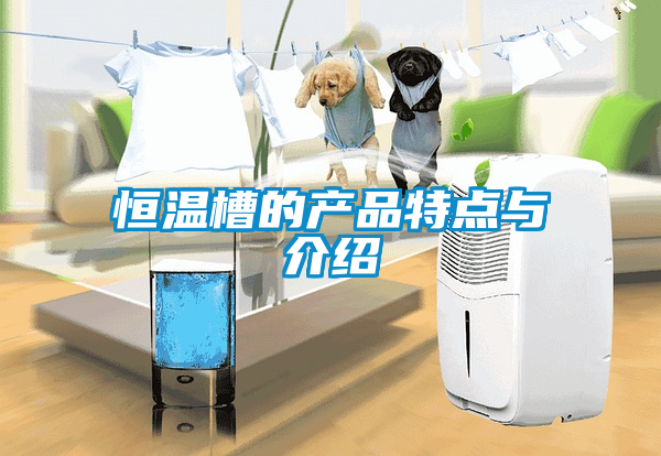 恒溫槽的產品特點與介紹