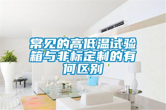 常見的高低溫試驗箱與非標定制的有何區別