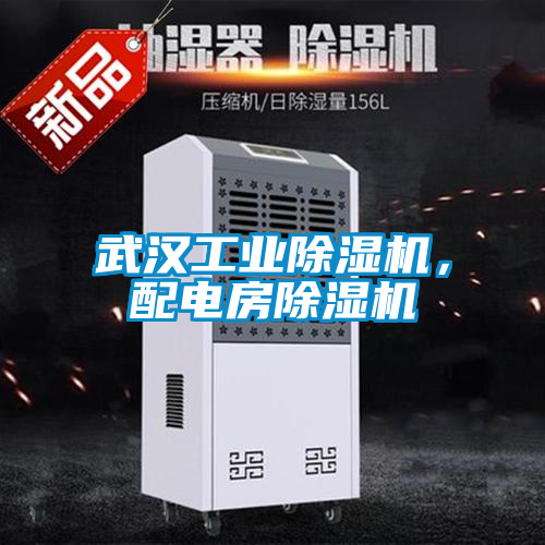 武漢工業除濕機，配電房除濕機