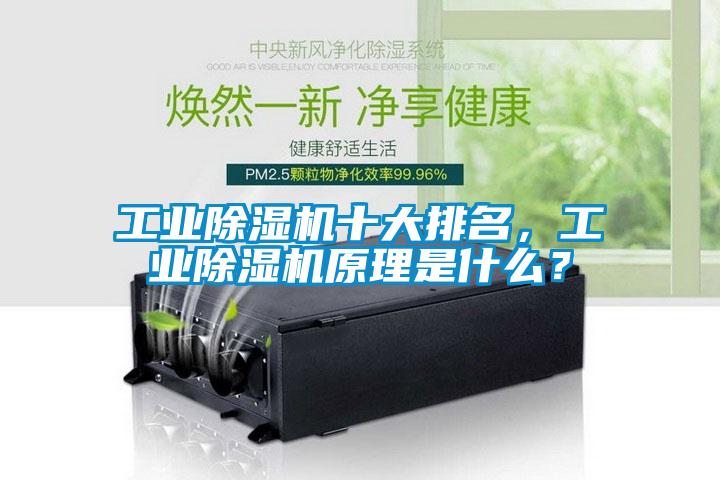 工業(yè)除濕機十大排名，工業(yè)除濕機原理是什么？
