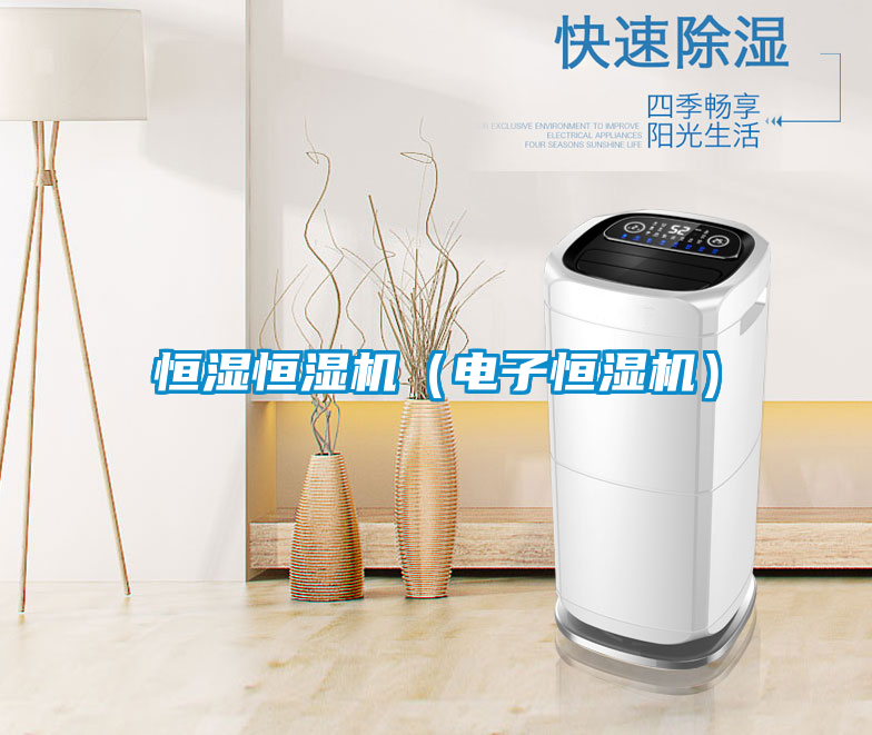 恒濕恒濕機(jī)（電子恒濕機(jī)）