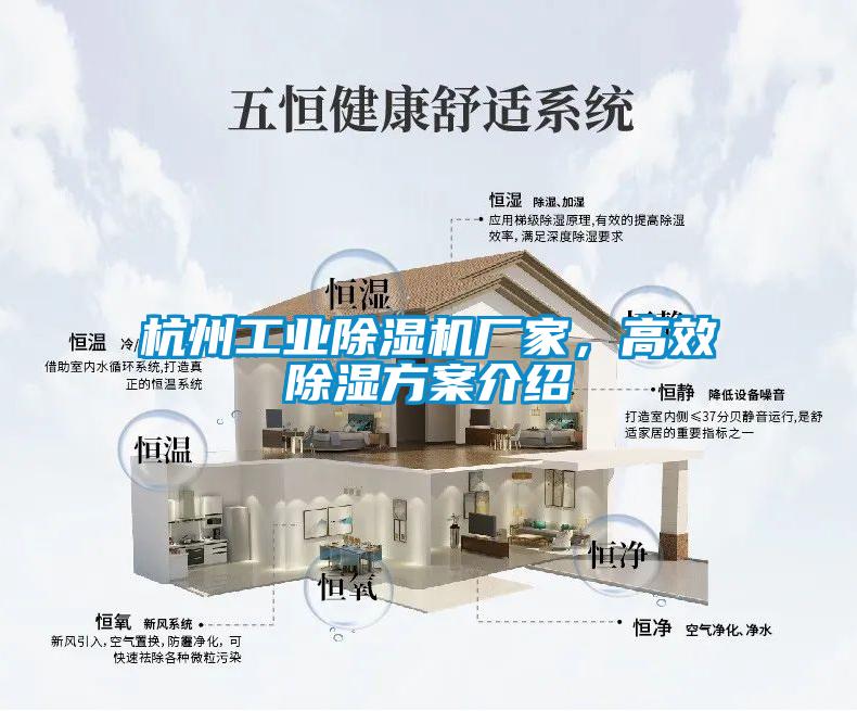 杭州工業(yè)除濕機(jī)廠家，高效除濕方案介紹