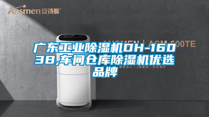廣東工業除濕機DH-1603B,車間倉庫除濕機優選品牌