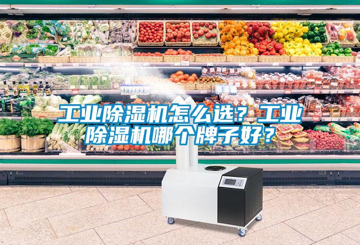 工業(yè)除濕機(jī)怎么選？工業(yè)除濕機(jī)哪個(gè)牌子好？
