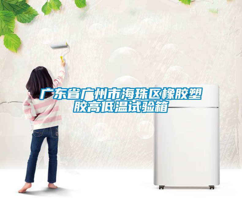 廣東省廣州市海珠區橡膠塑膠高低溫試驗箱