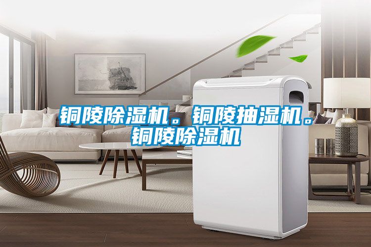 銅陵除濕機。銅陵抽濕機。銅陵除濕機