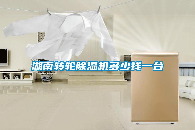 湖南轉輪除濕機多少錢一臺