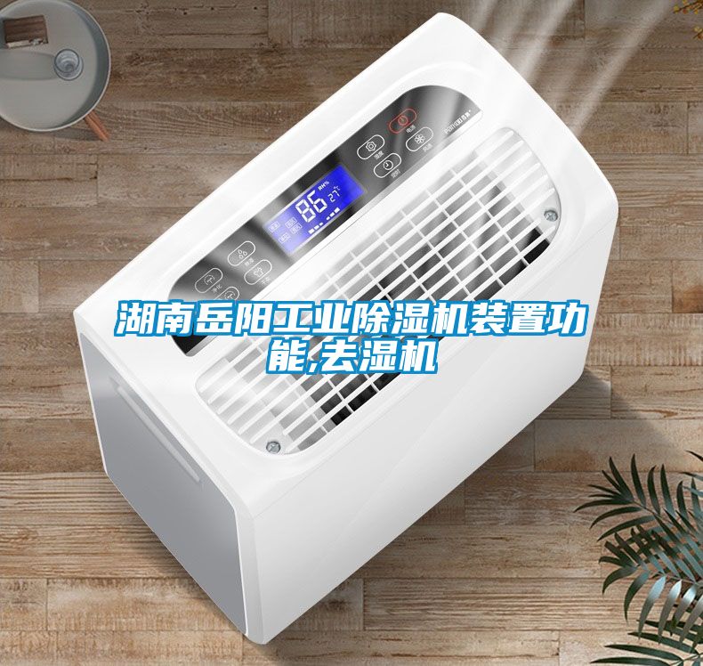 湖南岳陽工業除濕機裝置功能,去濕機