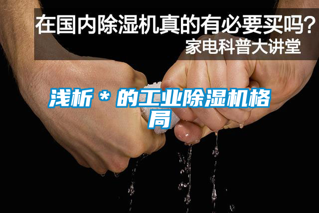 淺析＊的工業除濕機格局