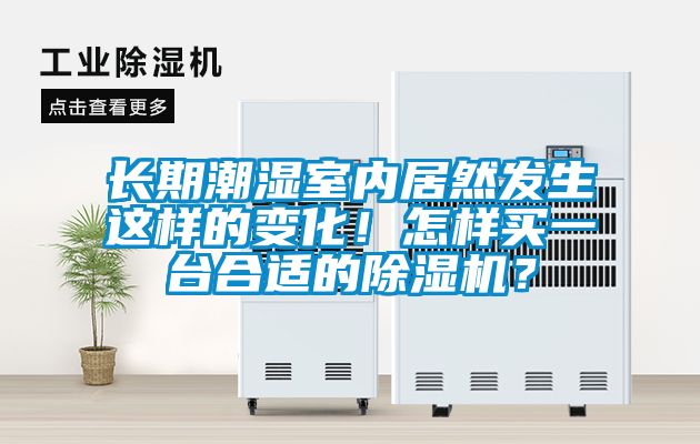 長期潮濕室內(nèi)居然發(fā)生這樣的變化！怎樣買一臺合適的除濕機(jī)？