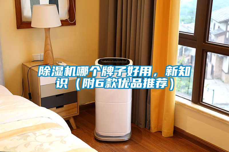 除濕機哪個牌子好用，新知識（附6款優(yōu)品推薦）