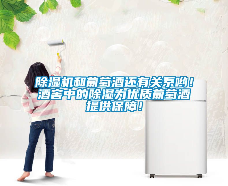 除濕機(jī)和葡萄酒還有關(guān)系喲！酒窖中的除濕為優(yōu)質(zhì)葡萄酒提供保障！