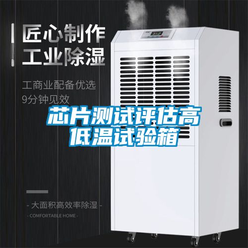 芯片測試評估高低溫試驗箱