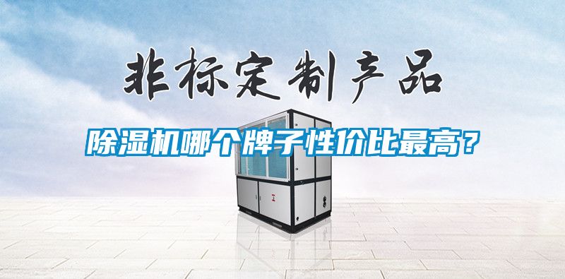 除濕機哪個牌子性價比最高？