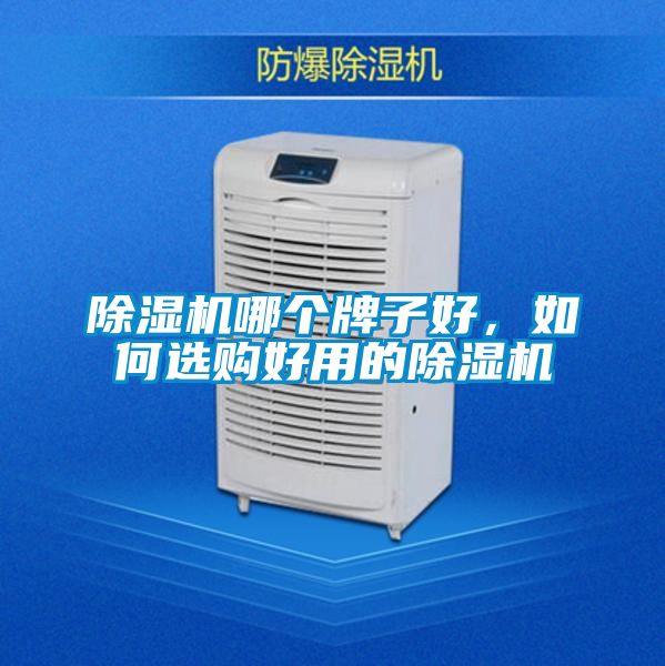 除濕機(jī)哪個(gè)牌子好，如何選購(gòu)好用的除濕機(jī)