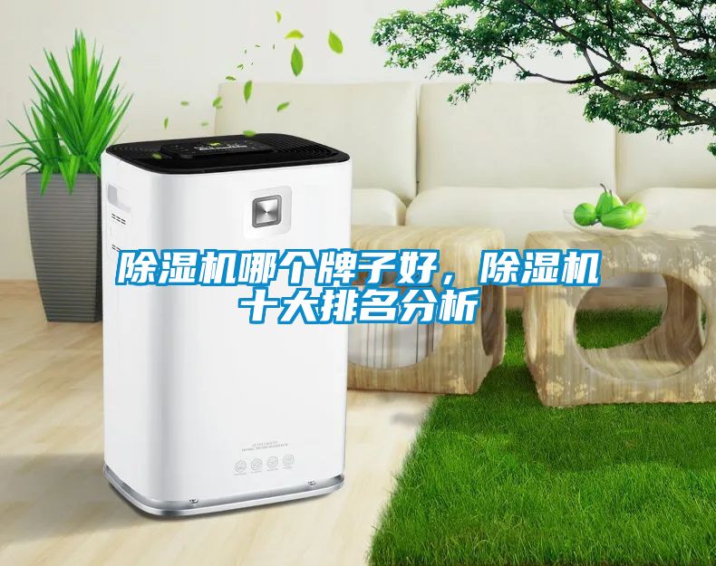 除濕機(jī)哪個(gè)牌子好，除濕機(jī)十大排名分析