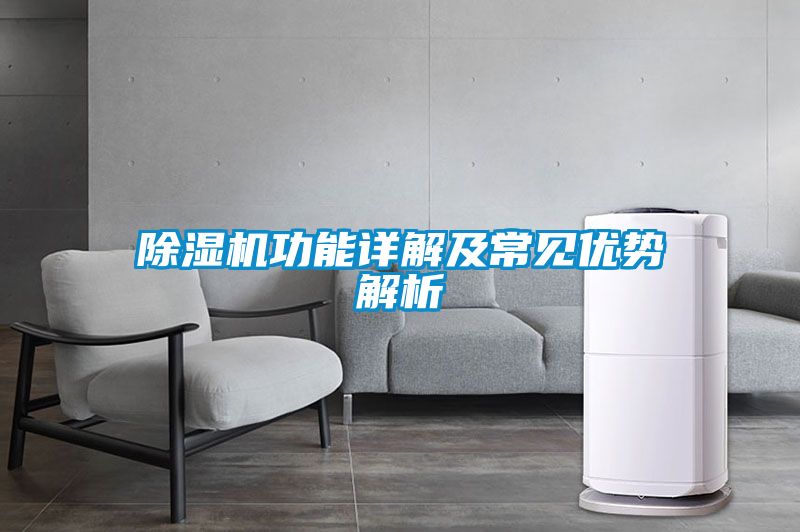 除濕機功能詳解及常見優勢解析