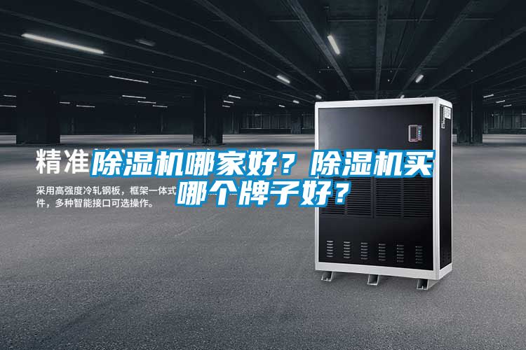 除濕機(jī)哪家好？除濕機(jī)買(mǎi)哪個(gè)牌子好？