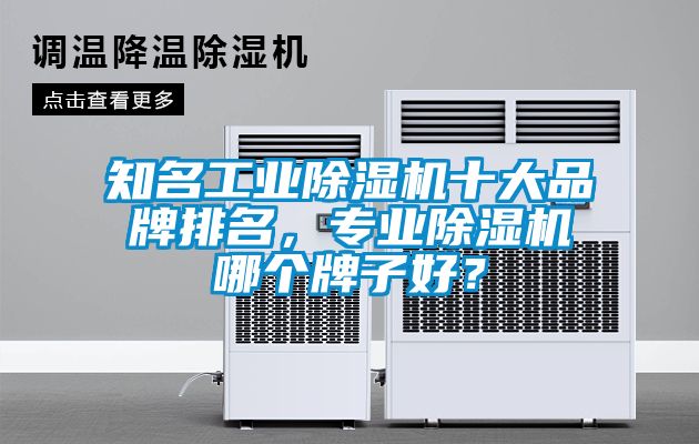 知名工業除濕機十大品牌排名，專業除濕機哪個牌子好？