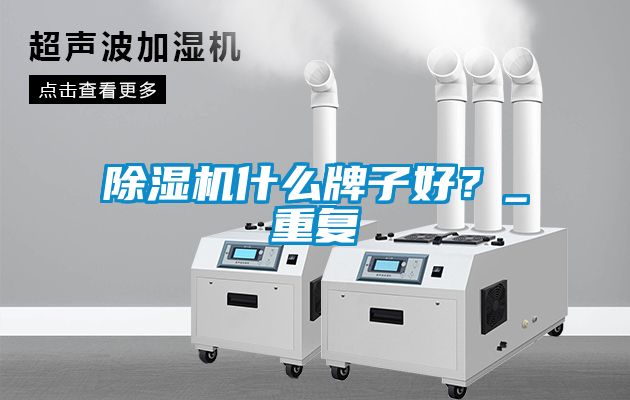除濕機什么牌子好？_重復