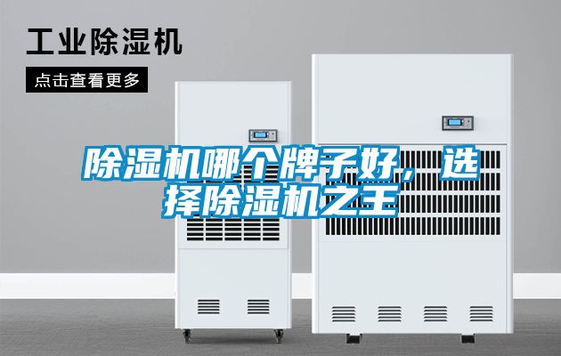 除濕機(jī)哪個(gè)牌子好，選擇除濕機(jī)之王