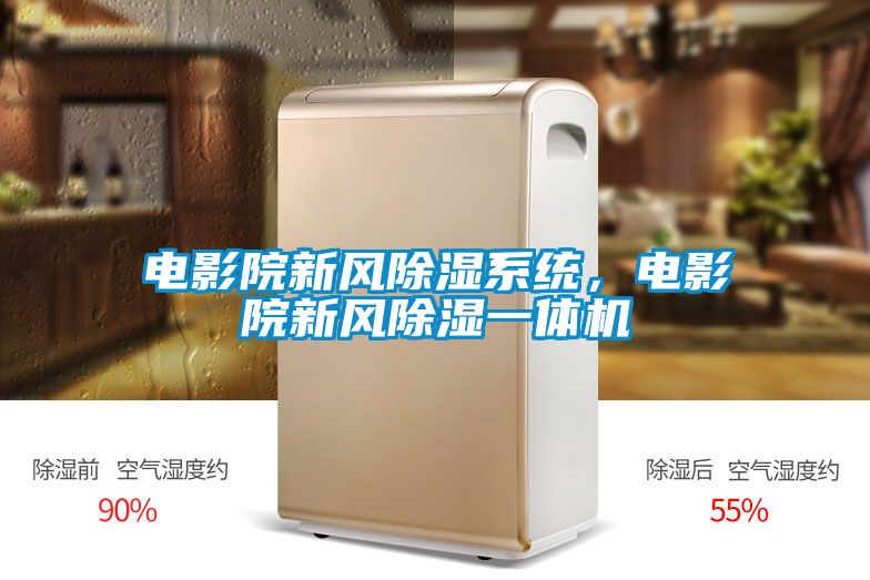電影院新風(fēng)除濕系統(tǒng)，電影院新風(fēng)除濕一體機