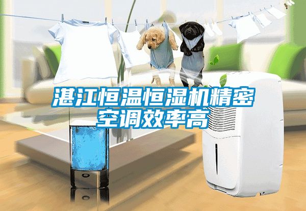 湛江恒溫恒濕機精密空調(diào)效率高