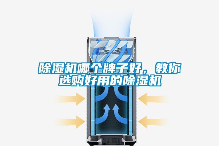 除濕機(jī)哪個(gè)牌子好，教你選購(gòu)好用的除濕機(jī)