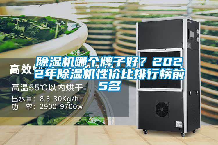 除濕機(jī)哪個(gè)牌子好？2022年除濕機(jī)性價(jià)比排行榜前5名