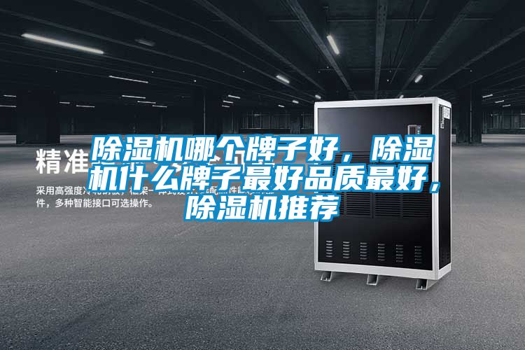 除濕機(jī)哪個(gè)牌子好，除濕機(jī)什么牌子最好品質(zhì)最好，除濕機(jī)推薦