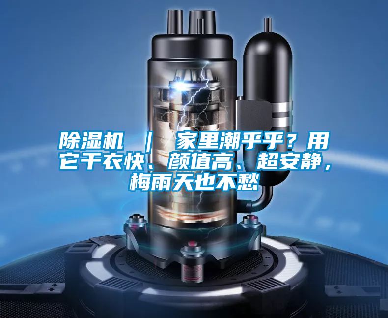 除濕機 ｜ 家里潮乎乎？用它干衣快、顏值高、超安靜，梅雨天也不愁