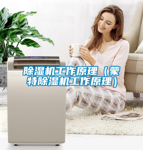 除濕機(jī)工作原理（蒙特除濕機(jī)工作原理）