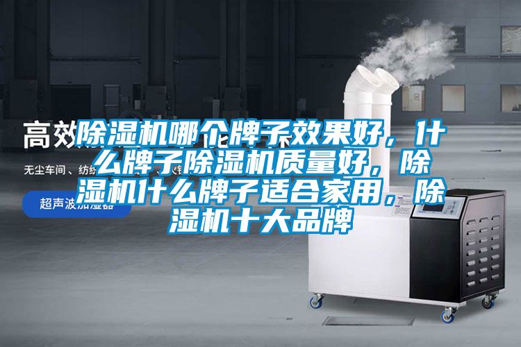 除濕機(jī)哪個(gè)牌子效果好，什么牌子除濕機(jī)質(zhì)量好，除濕機(jī)什么牌子適合家用，除濕機(jī)十大品牌