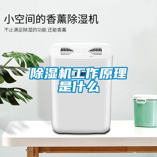 除濕機(jī)工作原理是什么