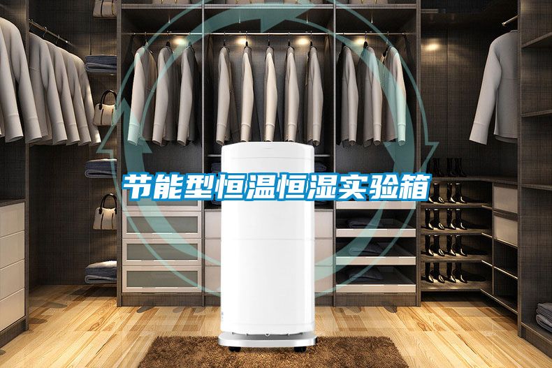 節(jié)能型恒溫恒濕實(shí)驗(yàn)箱