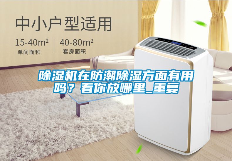除濕機在防潮除濕方面有用嗎？看你放哪里_重復