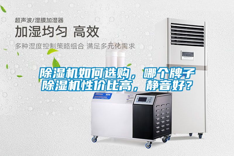 除濕機如何選購，哪個牌子除濕機性價比高，靜音好？