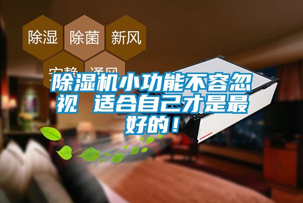 除濕機小功能不容忽視 適合自己才是最好的！