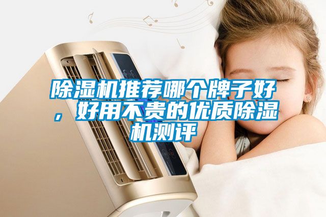 除濕機推薦哪個牌子好，好用不貴的優質除濕機測評