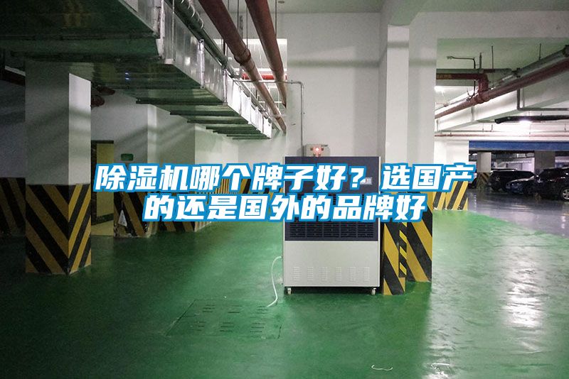除濕機(jī)哪個(gè)牌子好？選國(guó)產(chǎn)的還是國(guó)外的品牌好