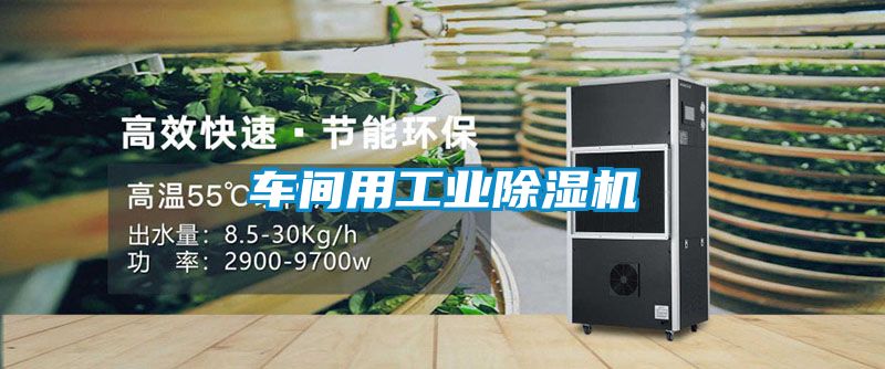 車間用工業(yè)除濕機